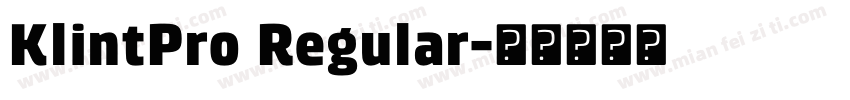 KlintPro Regular字体转换